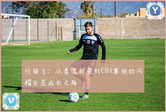 任骏飞：从青涩新星到CBA赛场的闪耀巨星成长之路